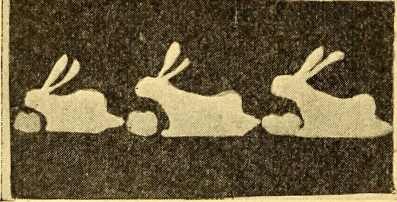 An illustration from Theory and practice of teaching art, 1912, leaf 73