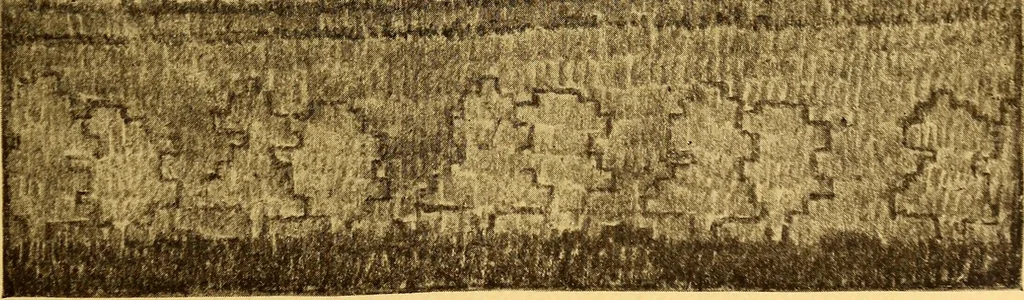 An illustration from Theory and practice of teaching art, 1912, leaf 82