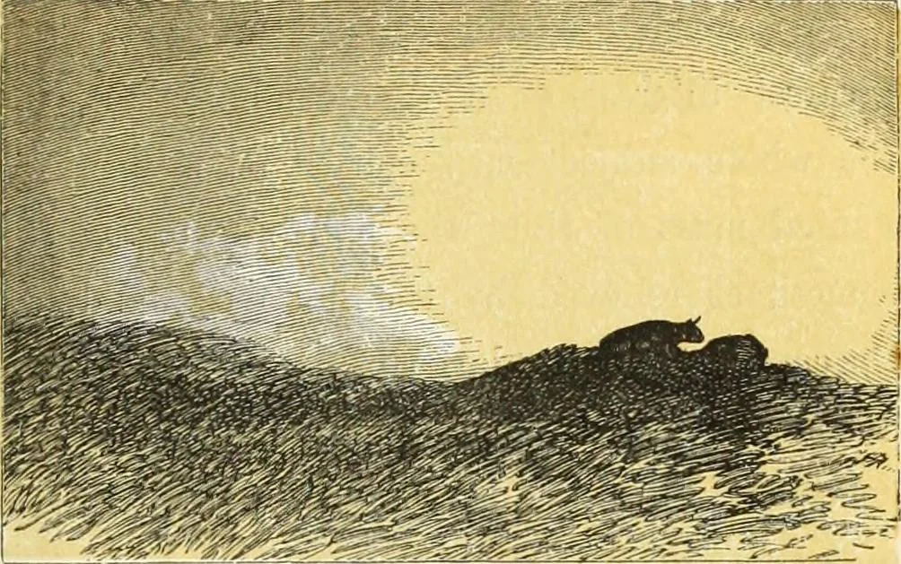 An illustration from The theory and practice of landscape painting in water-colours. Illustrated by a series of twenty-six drawings and diagrams in colours, and numerous woodcuts, 1871, leaf 124