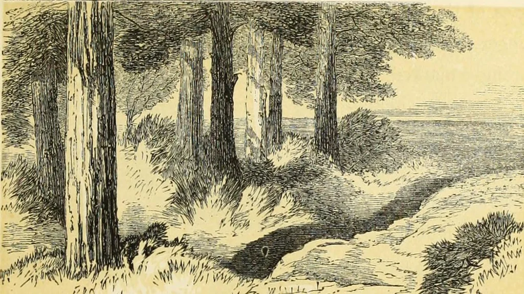 An illustration from The theory and practice of landscape painting in water-colours. Illustrated by a series of twenty-six drawings and diagrams in colours, and numerous woodcuts, 1871, leaf 126