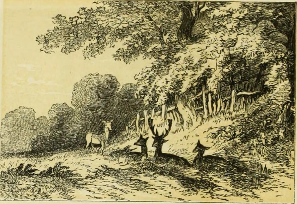 An illustration from The theory and practice of landscape painting in water-colours. Illustrated by a series of twenty-six drawings and diagrams in colours, and numerous woodcuts, 1871, leaf 127