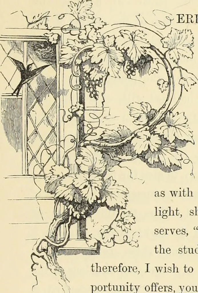 An illustration from The theory and practice of landscape painting in water-colours. Illustrated by a series of twenty-six drawings and diagrams in colours, and numerous woodcuts, 1871, leaf 138