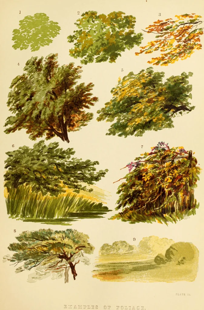 An illustration from The theory and practice of landscape painting in water-colours. Illustrated by a series of twenty-six drawings and diagrams in colours, and numerous woodcuts, 1871, leaf 196