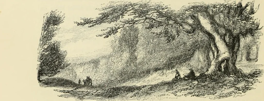 An illustration from The theory and practice of landscape painting in water-colours. Illustrated by a series of twenty-six drawings and diagrams in colours, and numerous woodcuts, 1871, leaf 277