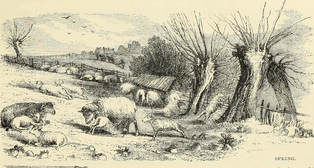 An illustration from The theory and practice of landscape painting in water-colours. Illustrated by a series of twenty-six drawings and diagrams in colours, and numerous woodcuts, 1871, leaf 278