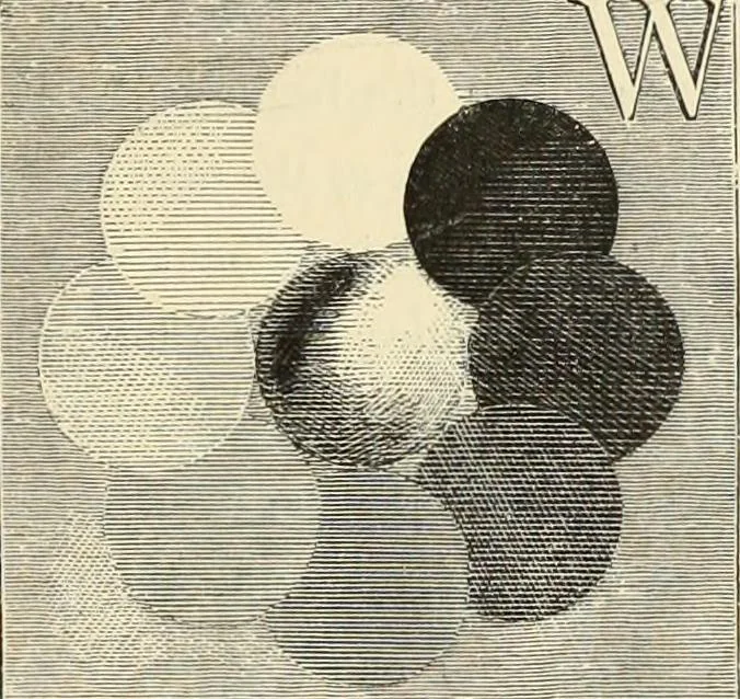 An illustration from The theory and practice of landscape painting in water-colours. Illustrated by a series of twenty-six drawings and diagrams in colours, and numerous woodcuts, 1871, leaf 316