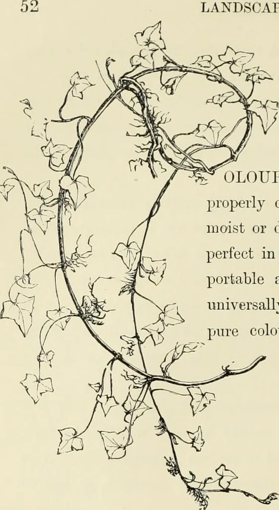 An illustration from The theory and practice of landscape painting in water-colours. Illustrated by a series of twenty-six drawings and diagrams in colours, and numerous woodcuts, 1871, leaf 71