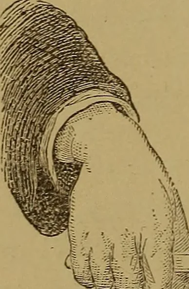 An illustration from Theory and practice of the electric telegraph; a manual for operators and students, 1875, leaf 39