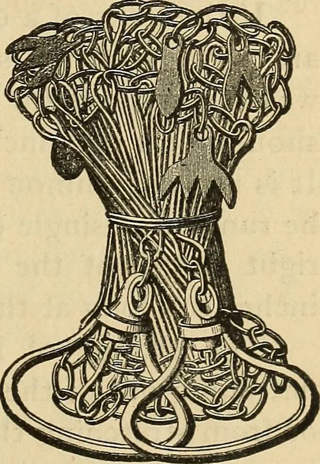 An illustration from The theory and practice of surveying. Designed for the use of surveyors and engineers generally, but especially for the use of students in engineering, 1886, leaf 36
