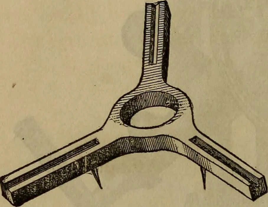 An illustration from The theory and practice of surveying. Designed for the use of surveyors and engineers generally, but especially for the use of students in engineering, 1886, leaf 509