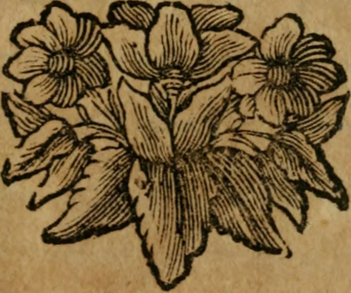 An illustration from Theosophia revelata, das ist, Alle göttliche Schriften, 1730, leaf 620