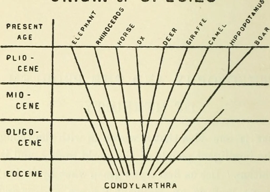 An illustration from Theosophy and modern thought : four lectures delivered at the thirty-ninth annual convention of the Theosophical Society, held at Adyar, Madras, December, 1914, 1915, leaf 15