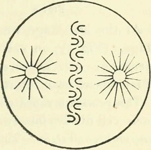 An illustration from Theosophy and modern thought : four lectures delivered at the thirty-ninth annual convention of the Theosophical Society, held at Adyar, Madras, December, 1914, 1915, leaf 24