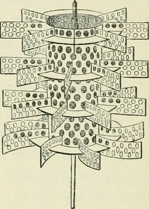 An illustration from The thermal measurement of energy. Lectures delivered at the Philosophical Hall, Leeds, 1901, leaf 81