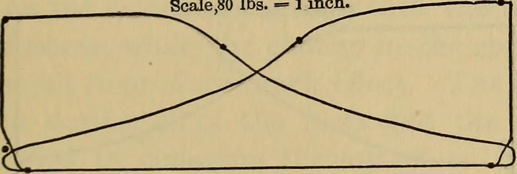 An illustration from Thermodynamics of the steam-engine and other heat-engines, 1889, leaf 316