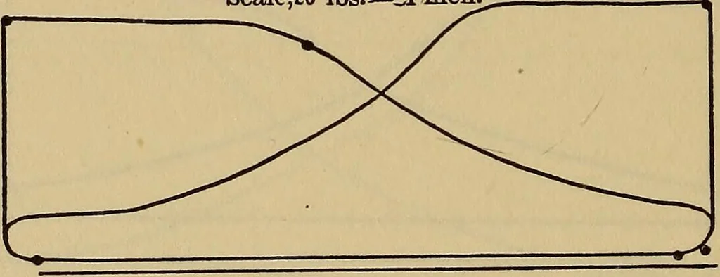 An illustration from Thermodynamics of the steam-engine and other heat-engines, 1889, leaf 317
