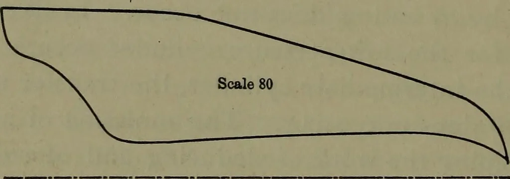 An illustration from Thermodynamics of the steam-engine and other heat-engines, 1898, leaf 287