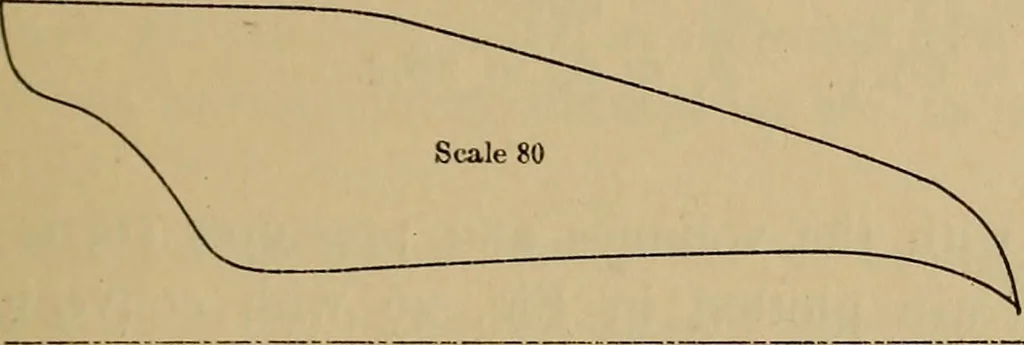 An illustration from Thermodynamics of the steam-engine and other heat-engines, 1907, leaf 186
