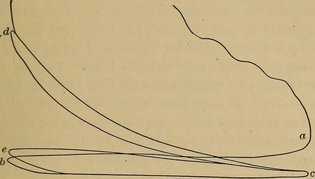 An illustration from Thermodynamics of the steam-engine and other heat-engines, 1907, leaf 332