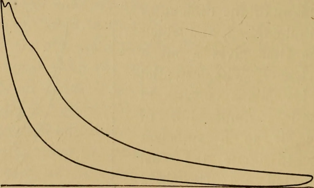 An illustration from Thermodynamics of the steam-engine and other heat-engines, 1907, leaf 351