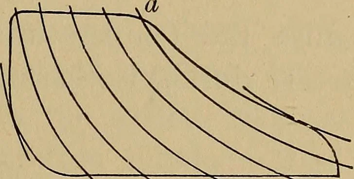 An illustration from Thermodynamics of the steam-engine and other heat-engines, 1907, leaf 46