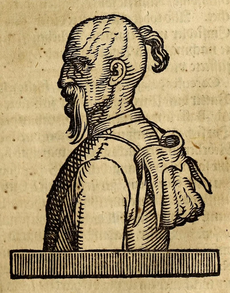 An illustration from Thesaurus exoticorum. : Oder eine mit aussländischen Raritäten und Geschichten wohlversehene Schatz-Kammer fürstellend die asiatische, africanische und americanische Nationes der Berser, Indianer, Sinesin, Tartaren, Egypter, Barbarn, Libyer, Nigriten, Guineer. Hottentotten, Abyssiner, Canadenser, Virgenier, Floridaner, Mexicaner, Peruaner, Chilenser, Magellanier und Brasilianer etc. Nach ihren königreichen, Policeyen, Kleydungen, Sitten und Gottes-Dienst. Darauff folget eine umständliche Beschreibung von Türckey: der Türcken Ankunfft; aller Sultanen Lebens-Lauff und Bildnüss; aller hohen Staats-Bedienten; des Sultans Hoff, Regierung, Intraden, Macht und Vasallen; wie auch ihres Propheten Mahomets Lebens-Beschreibung, und sein verfluchtes Gesetz-Buch oder Alkoran. Alssdann eine kürtzbündige Beschreibung von Ungarn: nach seiner grösse, Fruchtbarkeit, Macht, Städten und vielen Vestungen von Wien biss nach Constantinopel hinaus. Da es dann Gelegenheit gibt zu Reden von den 4 Monarchien, der Assyrer, Perser, Griechen und Römer: aller Käysern, von Nimrod an biss auff den grossen Leopoldum, und so dann von allen Hertzogen und Königen von Ungarn sampt ihren Rildnüssen. Hiernechst eine umbständliche Beschreibung des Lebens-Lauffs Ihrer Käyserl. Mayest. Leopoldi I. und des itzo annoch wehrenden bluthigen Türcken-Krieges, und was in demselben Denckwürdiges in Ungarn, Pohlen und Morea passiret. Alles mit grosser Mühe und Fleiss aus den berühmtesten Scribenten zusammen getragen, mit schönen Kupfern und Landkarten, auch andern Figuren in sehr grosser Anzahl, 1688, leaf 767