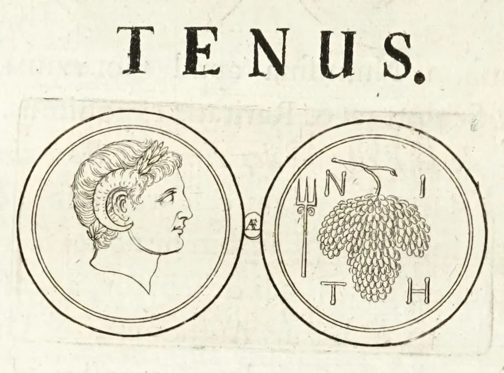 An illustration from Thesaurus ex Thesauro Palatino selectus, sive, Gemmarum et numismatum quae in electorali cimeliarchio continentur elegantiorum aere expressa, et convenienti commentario illustrata dispositio, 1685, leaf 270