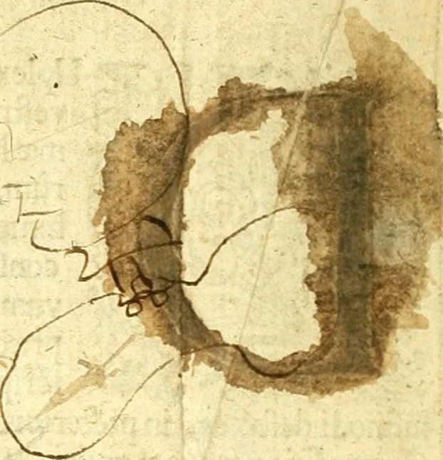 An illustration from Thesaurus Graecae linguae : in epitomen, sive Compendium redactus; et alphabetice, secundum Constantini methodum, et Schrevelii, referatus: concinnatus, & adornatus, studio & industria, 1676, leaf 1239