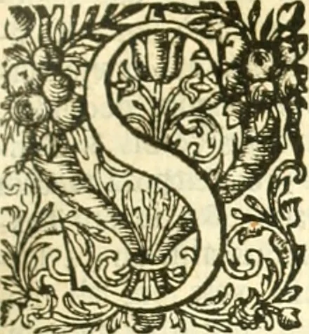 An illustration from Thesaurus Graecae linguae : in epitomen, sive Compendium redactus; et alphabetice, secundum Constantini methodum, et Schrevelii, referatus: concinnatus, & adornatus, studio & industria, 1676, leaf 140