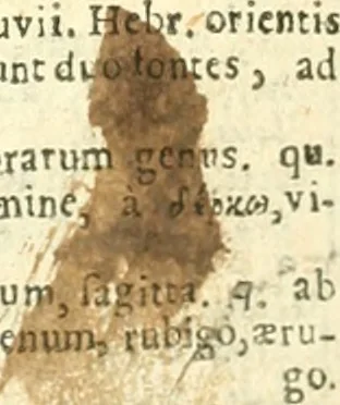 An illustration from Thesaurus Graecae linguae : in epitomen, sive Compendium redactus; et alphabetice, secundum Constantini methodum, et Schrevelii, referatus: concinnatus, & adornatus, studio & industria, 1676, leaf 532