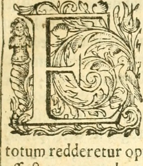An illustration from Thesaurus Graecae linguae : in epitomen, sive Compendium redactus; et alphabetice, secundum Constantini methodum, et Schrevelii, referatus: concinnatus, & adornatus, studio & industria, 1676, leaf 8
