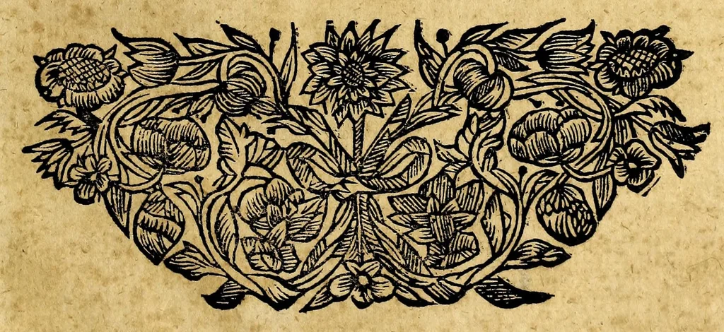 An illustration from Thesaurus mundi das ist Eine kurtze doch gründliche Anweisung, wo der Schatz der Welt in hundert und mehr Jahren hingekommen, : oder aber noch zum theil verborgen liegt, worauss nicht allein zu ersehen was die Ursache des jetzigen grossen Gelt-Mangels, sondern auch wie solches zu remediren und zu helffen sey., 1689, leaf 57