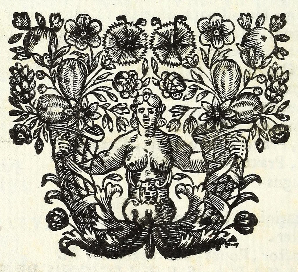An illustration from Thesaurus numismatum, antiquorum & recentiorum, ex auro, argento, & aere : ab illustriss. & excellentiss. D.D. Petro Mauroceno ... Serenissimae Reipublicae legatus, etc, 1683, leaf 150