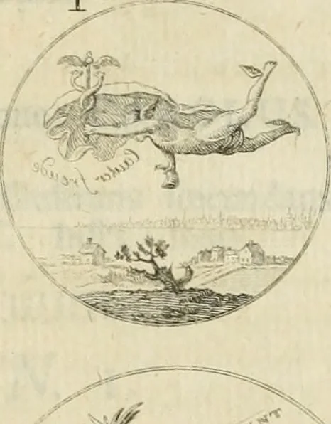 An illustration from Thesaurus nummorum sueo-gothicorum : studio indefesso Eliae Brenneri L. annorum spatio collectus, secundum seriem temporum dispositus, atqve e tenebris, cum commentatione in apricum prolatus ; accessit ejusdem auctoris Libellus de nummophylaciis Sveciae: de scriptoribus rei nummariae svethicae, atque de thesauris, seu variis vetustorum nummorum cumulis, passim per Sveoniam fortuito casu repertis, 1731, leaf 346