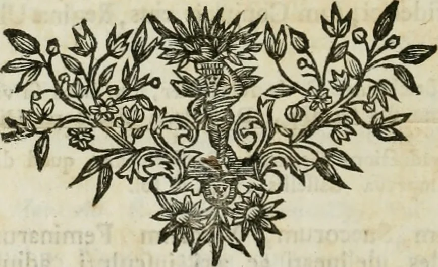 An illustration from Thesaurus nummorum sueo-gothicorum : studio indefesso Eliae Brenneri L. annorum spatio collectus, secundum seriem temporum dispositus, atqve e tenebris, cum commentatione in apricum prolatus ; accessit ejusdem auctoris Libellus de nummophylaciis Sveciae: de scriptoribus rei nummariae svethicae, atque de thesauris, seu variis vetustorum nummorum cumulis, passim per Sveoniam fortuito casu repertis, 1731, leaf 433