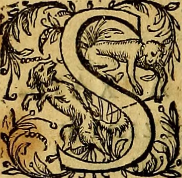 An illustration from Thesaurus rei antiquariae huberrimus ex antiquis tam numismatum quam marmorum inscriptionibus pari diligentia qua fide conquisitus, et in locos communes distributus .., 1579, leaf 13