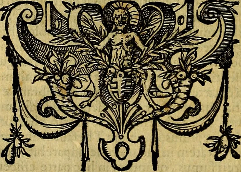 An illustration from Thesaurus rei antiquariae huberrimus ex antiquis tam numismatum quam marmorum inscriptionibus pari diligentia qua fide conquisitus, et in locos communes distributus .., 1579, leaf 15