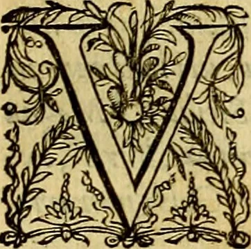 An illustration from Thesaurus rei antiquariae huberrimus ex antiquis tam numismatum quam marmorum inscriptionibus pari diligentia qua fide conquisitus, et in locos communes distributus .., 1579, leaf 16
