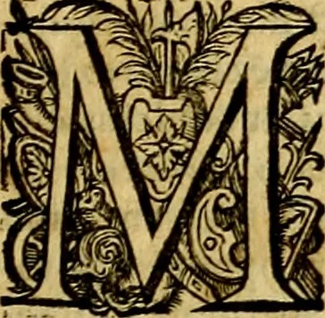 An illustration from Thesaurus rei antiquariae huberrimus ex antiquis tam numismatum quam marmorum inscriptionibus pari diligentia qua fide conquisitus, et in locos communes distributus .., 1579, leaf 232