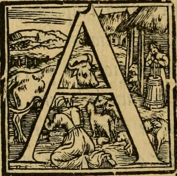 An illustration from Thesavro de scrittori : opera artificiosa, laquale con grandissima arte, si per pratica come per geometria, insegna a scriuere diuerse sorte littere, cioe cancellerescha, merchantescha, formata, cursiua, antiqua, moderna et bastarda, de piu sorte : cum uiarij e bellissimi exempli & altre sorte littere de uarie lingue, cioe grecha, hebraicha, caldea & arabicha : tutte extratte da diuersi et probatissimi auttori, & massimamente da lo praeclarissimo Sigismvndo Fanto, nobile ferrarese, mathematico et architettore eruditissimo, dele mesure e ragione de littere primo inuentore, 1532, leaf 83