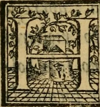 An illustration from Thesavro de scrittori : opera artificiosa, laquale con grandissima arte, si per pratica come per geometria, insegna a scriuere diuerse sorte littere, cioe cancellerescha, merchantescha, formata, cursiua, antiqua, moderna et bastarda, de piu sorte : cum uiarij e bellissimi exempli & altre sorte littere de uarie lingue, cioe grecha, hebraicha, caldea & arabicha : tutte extratte da diuersi et probatissimi auttori, & massimamente da lo praeclarissimo Sigismvndo Fanto, nobile ferrarese, mathematico et architettore eruditissimo, dele mesure e ragione de littere primo inuentore, 1532, leaf 89