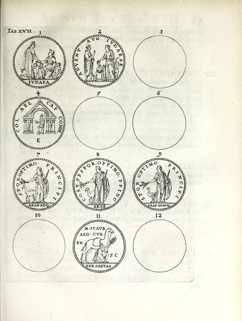 An illustration from Thesavrvs selectorvm nvmismatvm antiqvorvm : quo, praeter imagines & seriem imperatorum Romanorum à C. IVL. Caesare ad Constantinvm Magnum usque, quicquid fere monumentorum ex Romana antiquitate in nummis veteribus restat, reconditum est : cum singulorum succincta descriptione & accurata enarratione, 1677, leaf 141