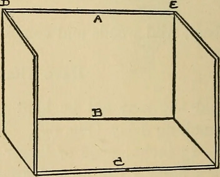 An illustration from Things worth doing and how to do them, 1906, leaf 107