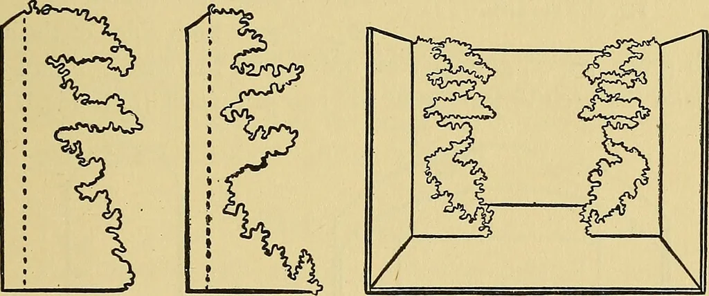 An illustration from Things worth doing and how to do them, 1906, leaf 108
