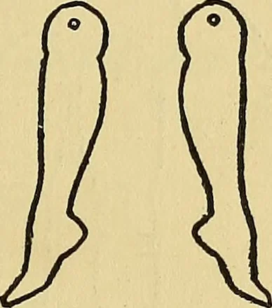 An illustration from Things worth doing and how to do them, 1906, leaf 112