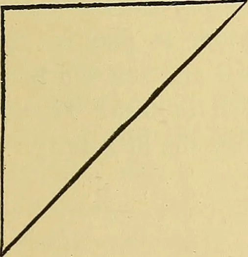 An illustration from Things worth doing and how to do them, 1906, leaf 114
