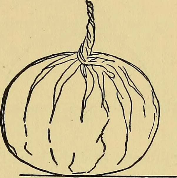 An illustration from Things worth doing and how to do them, 1906, leaf 120