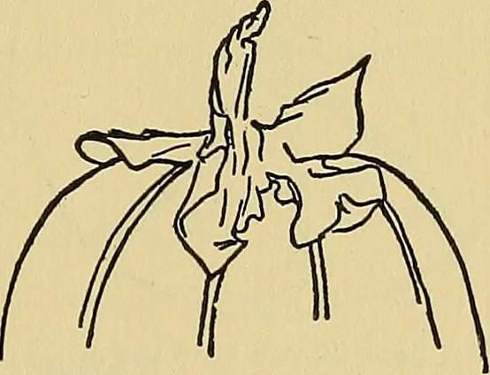 An illustration from Things worth doing and how to do them, 1906, leaf 120