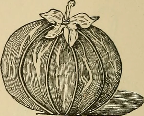 An illustration from Things worth doing and how to do them, 1906, leaf 121