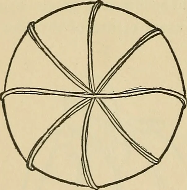 An illustration from Things worth doing and how to do them, 1906, leaf 121